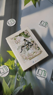 Tam Sinh Tam Thế Thập Lý Đào Hoa